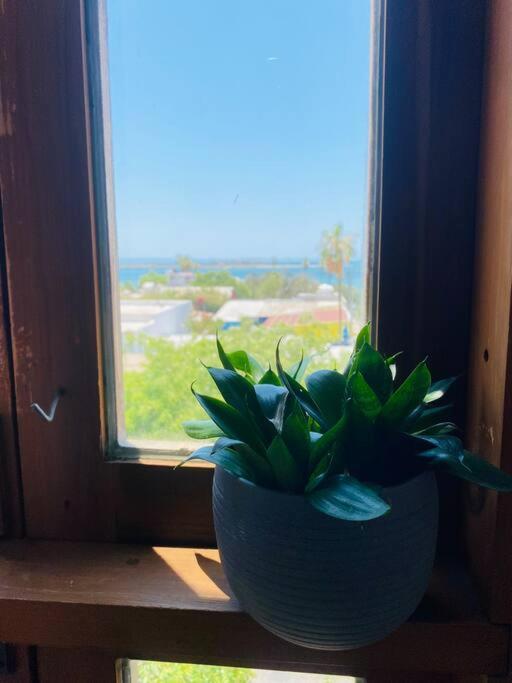 拉巴斯Casa Bahia 2 Blocks Malecon Amaizing Ocean View公寓 外观 照片