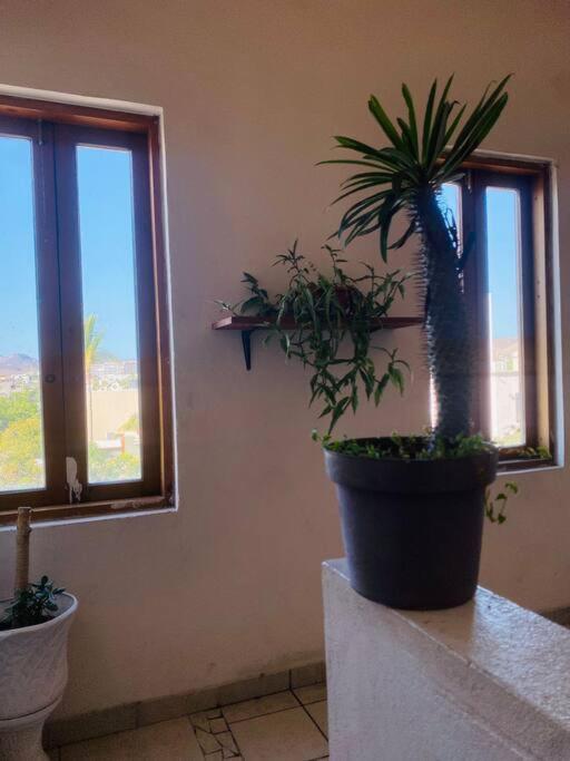 拉巴斯Casa Bahia 2 Blocks Malecon Amaizing Ocean View公寓 外观 照片